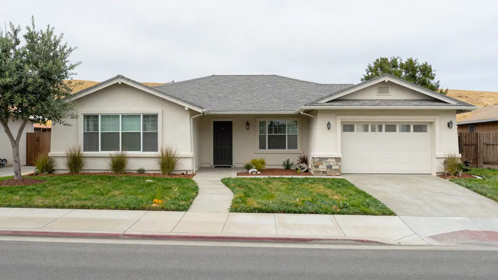 Single-story cream stucco ranch house with a gray shingle roof, drought-tolerant plantings and a young olive tree.